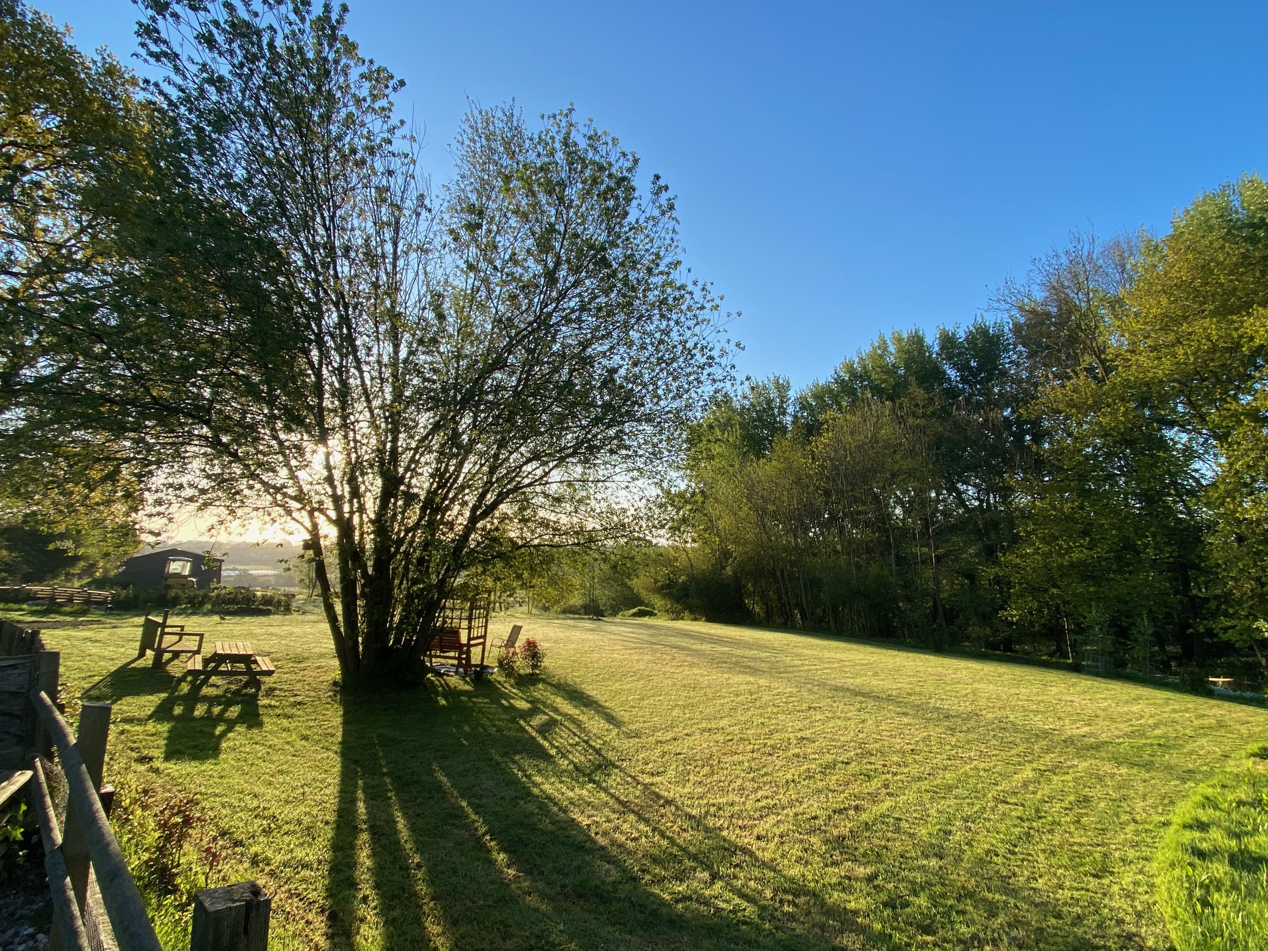 The view from my garden